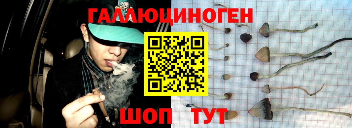 Майкоп  Псилоцибиновые грибы прущие грибы  Галлюциногенные грибы ЛСД  Вход с VPN 
